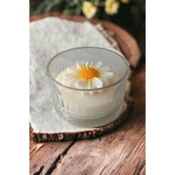 Vanilya Kokulu Papatya Mum