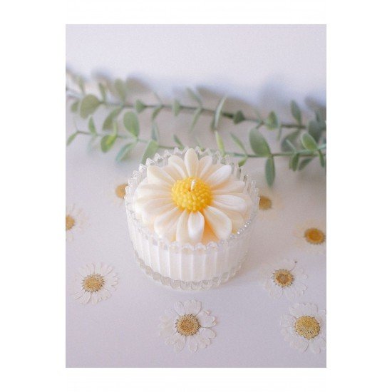 Dekoratif Kutulu Kokulu Soya Papatya Mum