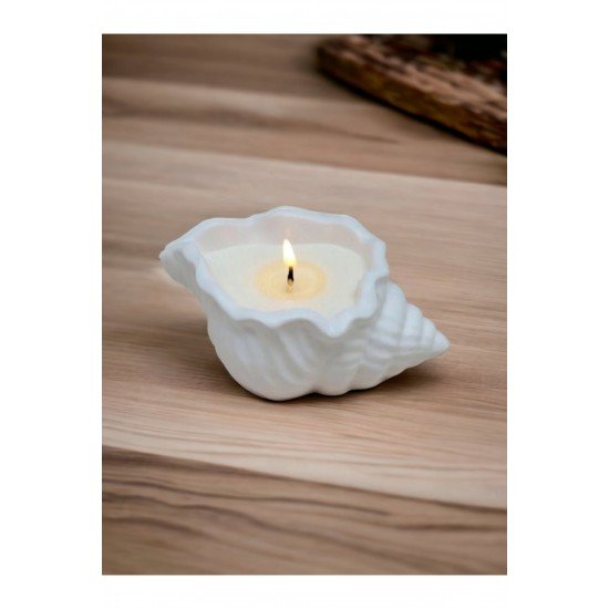 Dekoratif Istiridye Kasede Mum Deniz Kabuğu Obje