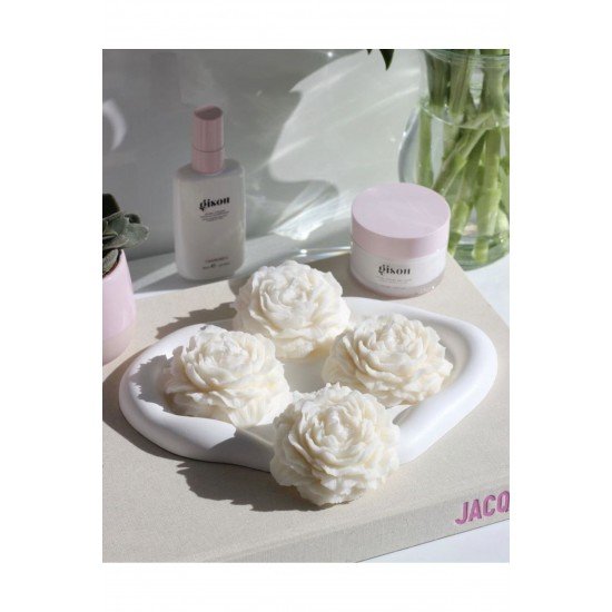 4 ADET KOKULU ŞAKAYIK MUM