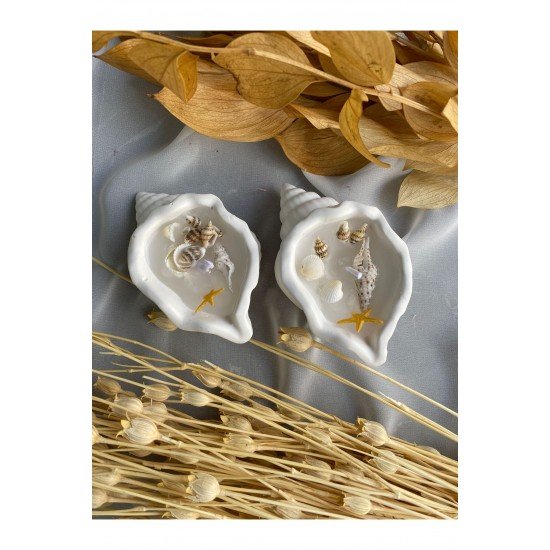 2li Deniz Kabuğu Mumluk