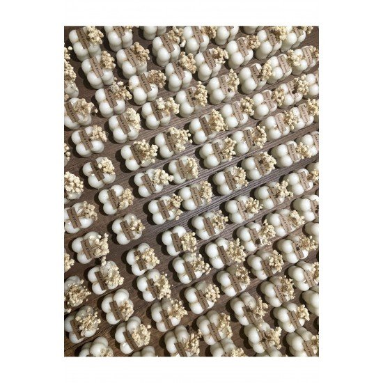 Bernamiofficial Bubble Mum Hediyelik 20adet