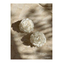 2'li Şakayık Model Vanilya Kokulu Mum