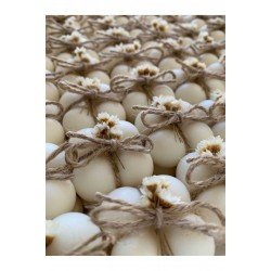 Bubble Mum Nişan Düğün Hediyelikleri 40'lı