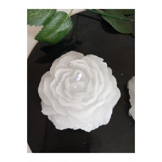 Bernamiofficial 2.li Kokulu Şakayık Mum