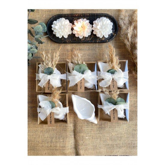 50 Adet Deniz Kabuğu Mum Söz Nişan Nikah Kına Gecesi Düğün Hediyelik