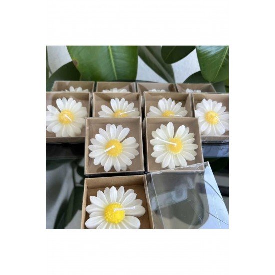 30adet Papatya Mum Hediyelik Nişan, Nikah, Söz, Doğumgünü, Doğum