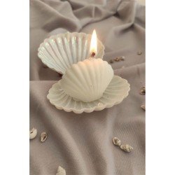 Bernami Deniz Kabuğu Mum Nikah Hediyeliği, Istiridye Mum, Söz, Nişan, Nikah Şekeri Hediyelik 20 Adet