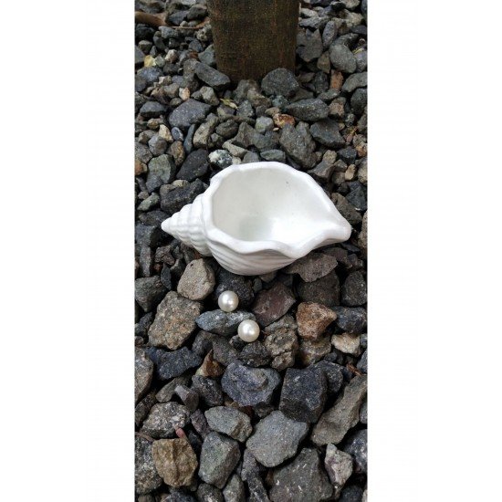 İstiridye Kutu Dekoratif 1 Adet Beyaz Lüks deniz kabuğu