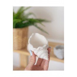 İstiridye Kutu Dekoratif 1 Adet Beyaz Lüks deniz kabuğu