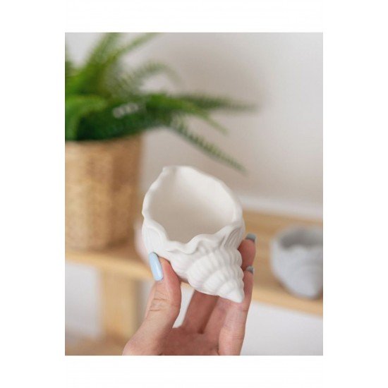 İstiridye Kutu Dekoratif 1 Adet Beyaz Lüks deniz kabuğu