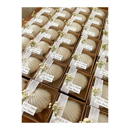 20 adetKutulu İstiridye Hediyelik Nişan hediyelikleri nikah hediyelikleri nikah şekeri