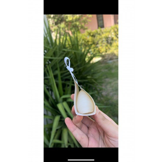 Bernami Kart Istiridye Mum - 20 Adet