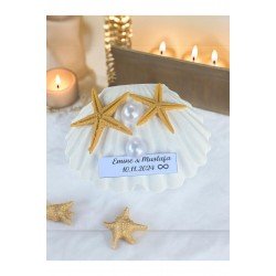 15 Adet Magnet Taş Döküm Istiridye Mıknatıslı Hediyelik Deniz Yıldızı Söz Nişan Düğün Doğum Günü