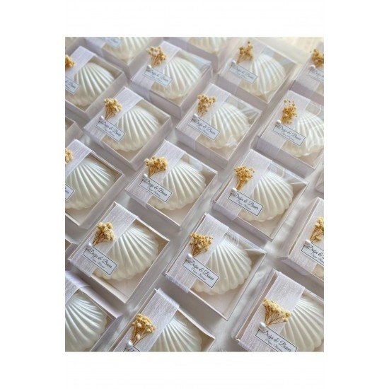 10 Adet Kutulu Istiridye Deniz Kabuğu Çiçeği Süslemeli