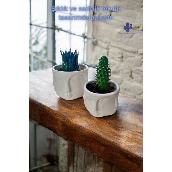 Adler Havelka Saksı 2 Li Saksı Seti Buda Saksı Dekoratif Boyasız Havelka Saksı