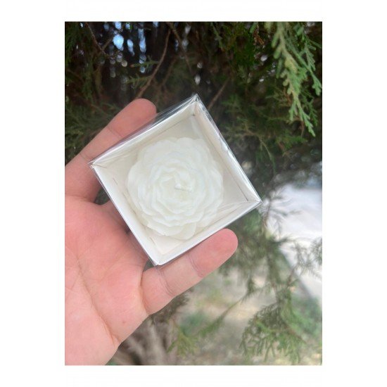 20 Adet Beyaz Kutulu Şakayık Mum Hediyelik, Nişan, Düğün, Sünnet, Söz, Kına, Doğum Günü