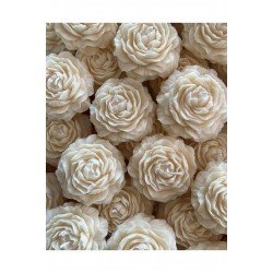 Suda Yüzen Mum Şakayık Mum