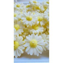 Bernami Offcial Papatya Model Kokulu 5 Adet Mum Söz Nişan Mevlid Düğün Hediyelik