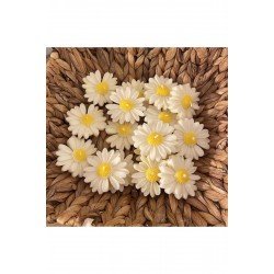 Bernami Offcial Papatya Model Kokulu 5 Adet Mum Söz Nişan Mevlid Düğün Hediyelik