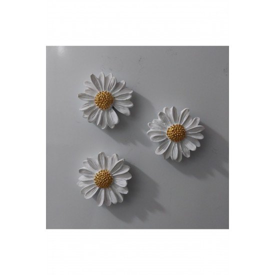 Papatya Set Magnet 6 Lı Buzdolabı Süsü Hediyelik Eşya Dekoratif Aksesuar