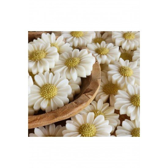 Kutulu Mum, Nikah Şekeri, Doğum, Sünnet, Düğün Nişan Söz, Kına, Doğum Günü 1 Adet Papatya Mum