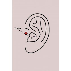 Özel Çelik Gold Renk Zirkon Taşlı Çiçek Model Tragus Piercing Fırsat!!!