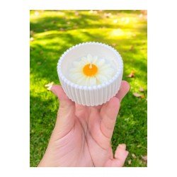 Official 2'li Mini Saksı Papatya Çiceği Temalı Kokulu Mum Seti Hediyelik