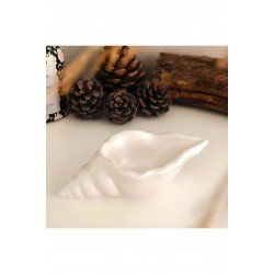 Pinterest Takı Tabağı,deniz Kabuğu Takı Tabağı,organizer,mumluk,dekoratif Tabak Beyaz