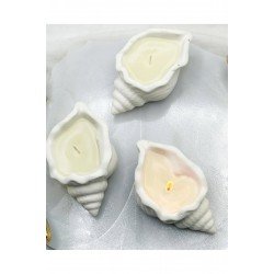 Salyangoz Mum Modeli Hediyelik(10 ADET)