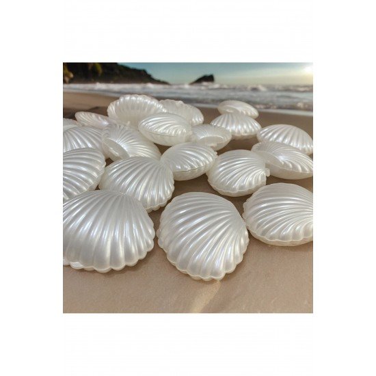 Boş Beyaz Istiridye Midye Kutu (10 Adet ) Düğün Nişan Hediyelik Şekerlik Süs