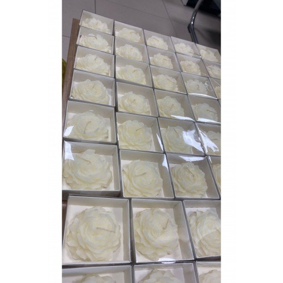 Şakayık Model Sade Asetat Kutulu Nişanlık Söz Nikah Düğün Hediyelik (20 Adet )