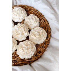 Bernami 50 Adet Şakayık Mum Söz Nişan Düğün Nikahhediyelik