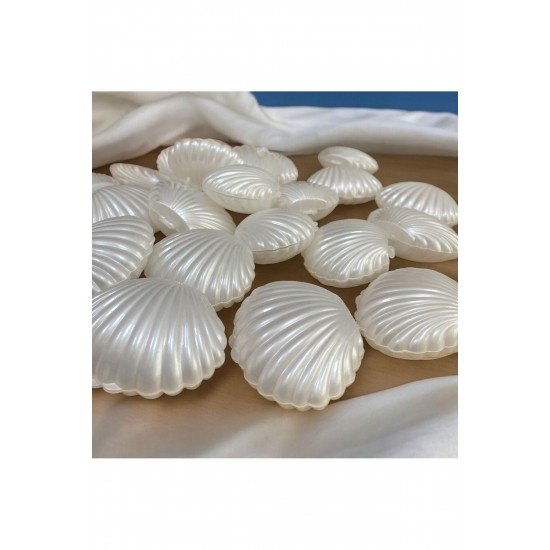Boş Beyaz Istiridye Midye Kutu (10 Adet ) Düğün Nişan Hediyelik Şekerlik Süs