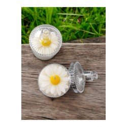 Bernami Iki Adet Mika Şekerlik Kutuda Papatya Detaylı Vanilya Kokulu Mum