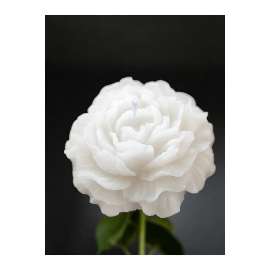 İkili Vanilya Kokulu 8 Cm Çapında Şakayık Mum