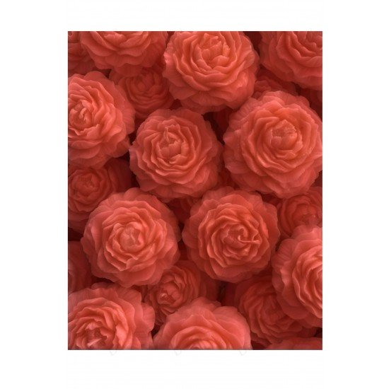 Söz, Nişan, Kına, Düğün, Mevlüt, Sünnet, Nikah Şekeri Hediyelik Hatıra Kırmızı Şakayık Mum, 10 Adet