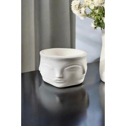 Dekoratif Sukulent Saksı Biblo