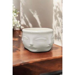 Dekoratif Sukulent Saksı Biblo