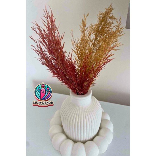 Bubble tabak ve Pampas Vazo Dekoratif Set