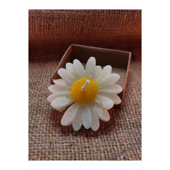 Papatya Şekilli Yüzen Mum, Vazo İçin Yüzen Mum, Kokusuz Yüzen Mum 3'Lü Set