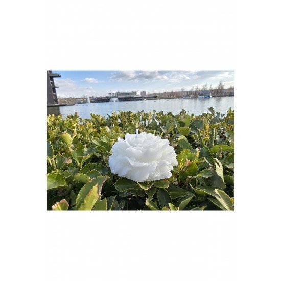 Dekoratif Hediyelik Gül Mum - Düğün - Nikah Şekeri - Doğum - Sünnet - Nişan Söz - Kına - Doğum Günü