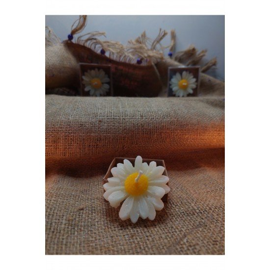 Papatya Şekilli Yüzen Mum, Vazo İçin Yüzen Mum, Kokusuz Yüzen Mum 3'Lü Set