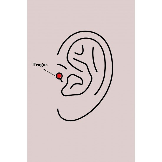 Özel Çelik Gold Renk Zirkon Taş Detay Pembe Kalp İşleme Tragus Piercing Fırsat!!!