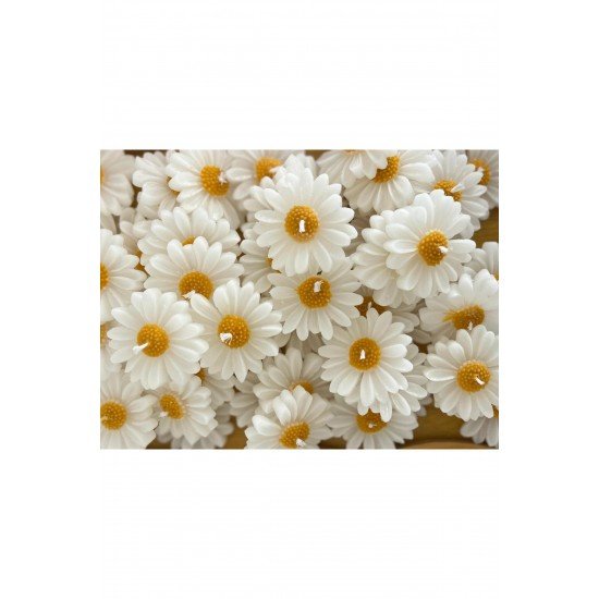 Official Papatya , Nikah Şekeri, Doğum, Sünnet, Düğün Nişan Söz, Kına, Doğum Günü - 10 Adet