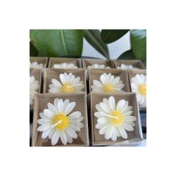 Offcial 24 Adet Papatya Mum Hediyelik Nişan, Nikah, Söz, Doğumgünü, Doğum