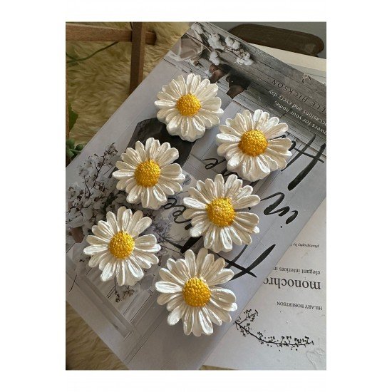 6’lı papatya model dolap süsü magnet