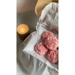 Bernamiofficial Rchome 3 Adet Pembe Kokulu Şakayık Soya Wax Mum