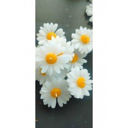 Official Papatya Desen Dekoratif Mum Söz,nişan,mevlid Hediyelik Mum 50 Adet