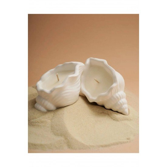 2'li Dekoratif Hediyelik Deniz Kabuğu Mum